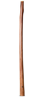 Wix Stix Didgeridoo (WS210)